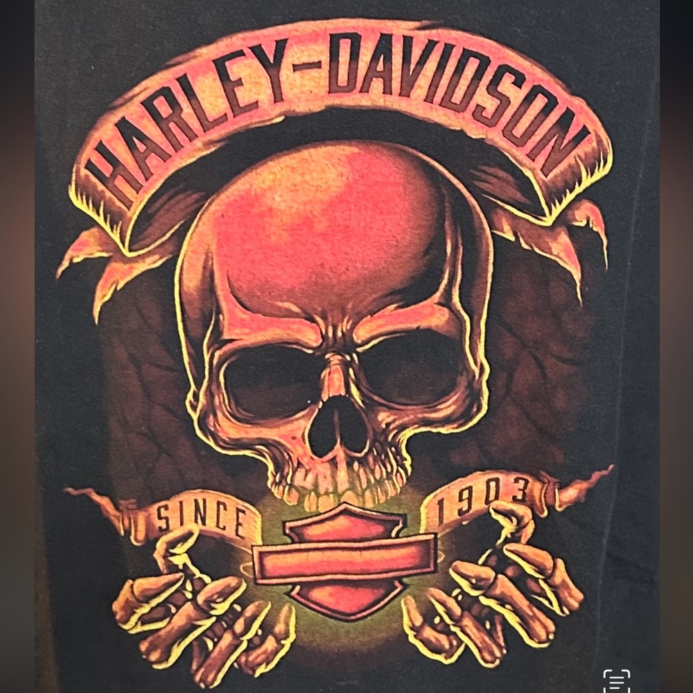 Harley Davidson men’s skull tee palatine Illinois city limits